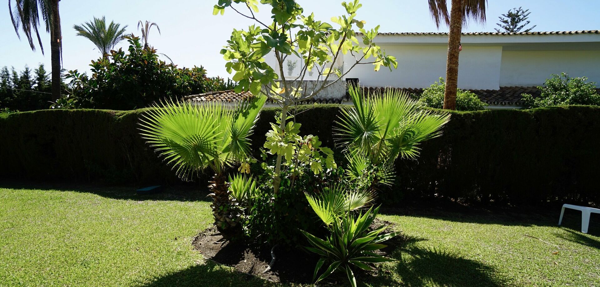 Villa à vendre à El Paraíso